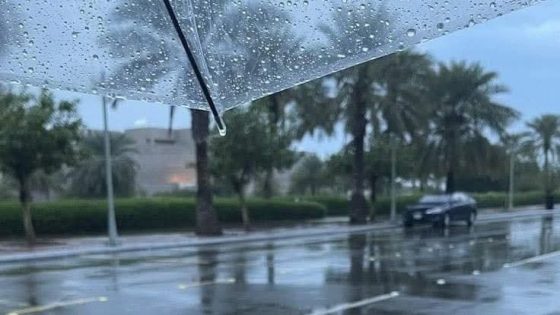 “الأرصاد الجوية: زخات رعدية قوية وتساقطات ثلجية مرتقبة في عدة مناطق بالمغرب”