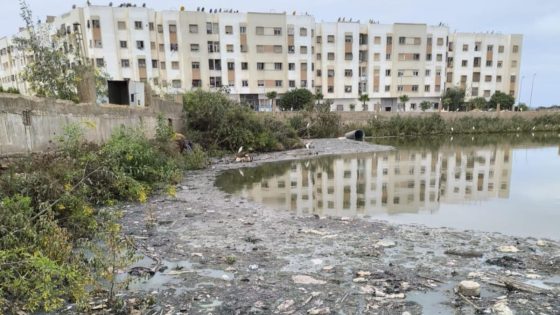 معاناة سكان حي “بيتي سكن” في مقاطعة الحي الحسني: أزمة المياه العادمة وغياب الحلول