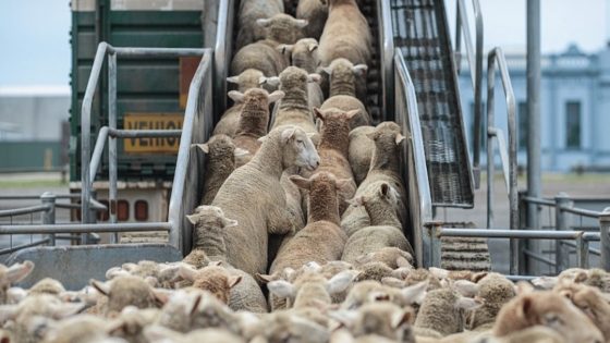 “الغلوسي : يطالب بفتح تحقيق قضائي حول استفادة بعض التجار من الدعم العمومي ويكشف تضارب التصريحات الحكومية”