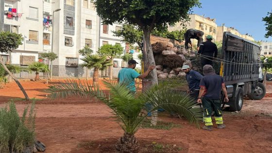 انطلاق أشغال تهيئة حدائق حي الأمان بعين السبع وسط مطالب بتوسيعها لتشمل باقي الأحياء