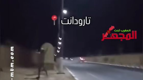 أمن أكادير يتفاعل مع فيديو متداول ويكشف تفاصيل نزاع شخصي بمدينة تارودانت