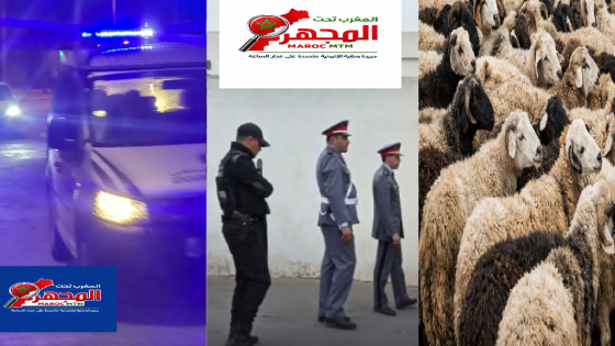 بقيادة السيد وليد عطاف والسيد زكرياء القصراوي والسيد يونس عكيفي، تحت إشراف الكولونيل ماجور السيد عبد الكريم زريوح… تفكيك عصابة “الفراقشية” بالهراويين