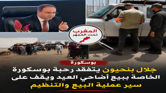 جلال بنحيون يتفقد رحبة بوسكورة الخاصة ببيع أضاحي العيد ويقف على سير عملية البيع والتنظيم