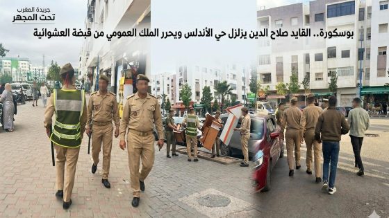 ”بوسكورة.. القايد صلاح الدين يزلزل حي الأندلس ويحرر الملك العمومي من قبضة العشوائية”