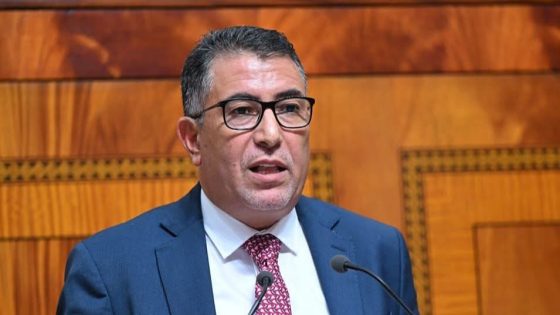 رشيد حموني يدعو لاعتماد رخص سكن جزئية ومؤقتة لتسهيل ولوج المواطنين إلى السكن اللائق
