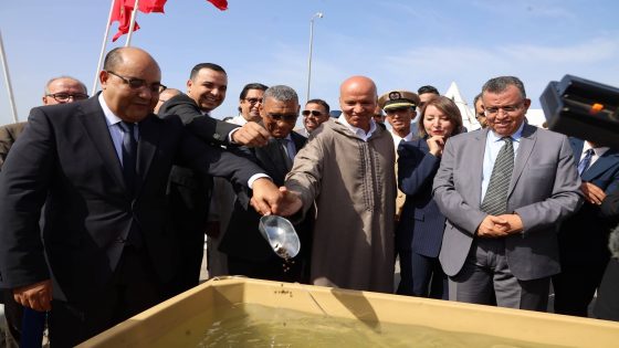 سيدي إفني.. انطلاق أول مشروع مغربي لتربية الأسماك في عرض البحر