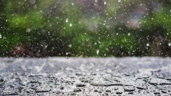 توقعات الطقس لليوم الخميس: أمطار رعدية وغزيرة على سهول الأطلسي ورياح قوية في بعض المناطق