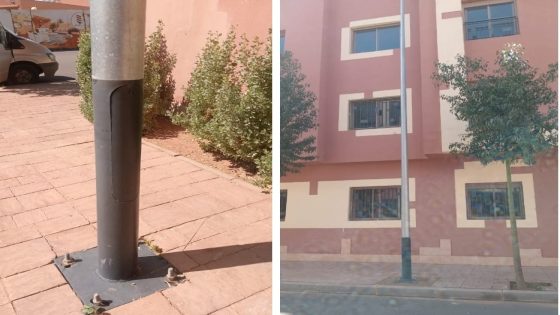 مسؤول: عملية تسليم شقق “بساتين الواحة” فاقت 80 بالمائة وهذا موعد افتتاح المسجد