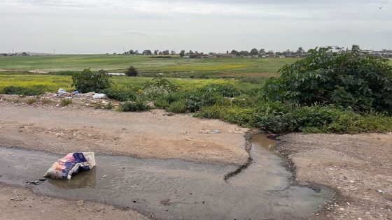 مشاركة مؤسسة البصيري سكول الخصوصية في مباراة الصحفيون الشباب من أجل البيئة في صنف الصورة الفوتوغرافية
