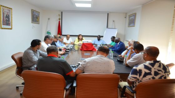 الرباط : تحتضن ندوة صحفية للكشف عن تفاصيل البطولة الإفريقية للكرة الطائرة الشاطئية