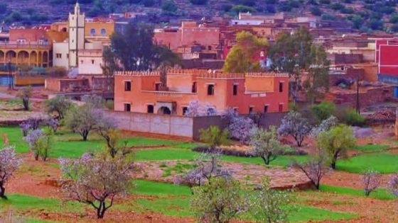 إقليم تارودانت: المحسن المتميز والفاعل الاقتصادي والاجتماعي الاندوزالي يخلق الحدث بمسقط رأسه دوار أمغرار جماعة تتاوت .-