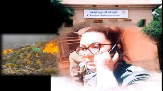 تارودانت : إدانة اصحاب الزيوت المغشوشة المثيرة للجدل بالحبس النافذ والغرامة