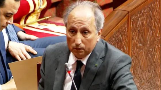 الوزير برادة: ميزانية التعليم سترتفع إلى 97 مليار درهم ومدارس الريادة تُجسد إصلاحًا ملموسًا