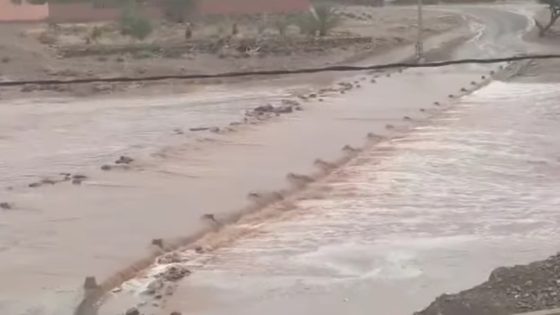 وزارة النقل تحذر من مخاطر الطقس وتدعو إلى أقصى درجات الحذر على الطرق يومي 16 و17 دجنبر