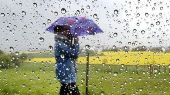 مقاييس التساقطات المطرية المسجلة بالمملكة خلال الـ 24 ساعة الماضية